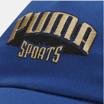 PUMA Sports/Regular Cap