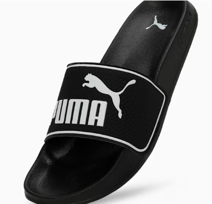 PUMA Leadcat 2.0 Slides