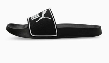 PUMA Leadcat 2.0 Slides