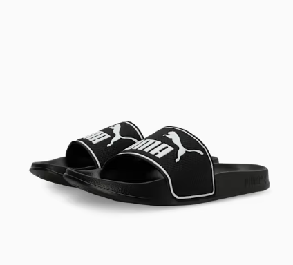 PUMA Leadcat 2.0 Slides