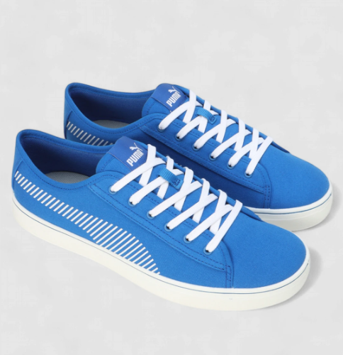 PUMA SkateCat Glide Sneakers For Men
